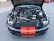 2007  Mustang Shelby GT500 in , 