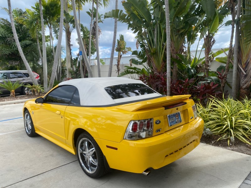 1999 Ford Mustang GT LOW MILES 8,145 1 OWNER FL CONV in , 
