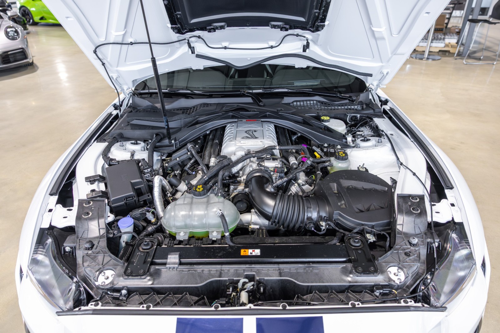 Used Car 2021 Ford Mustang  Shelby Gt500 For Sale Under $120,000 In Boerne, Texas