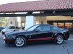 2007  Mustang Shelby GT500 in , 