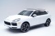 2023  Cayenne S Platinum Edition in , 