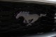 2021 Ford Mustang Mach 1 in Plainview, 