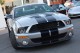 2008  Mustang Shelby GT500 in , 