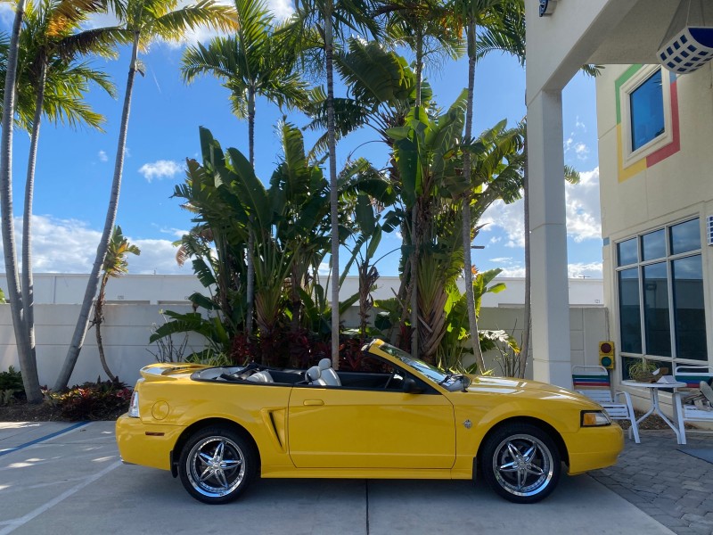 1999 Ford Mustang GT LOW MILES 8,145 1 OWNER FL CONV in , 