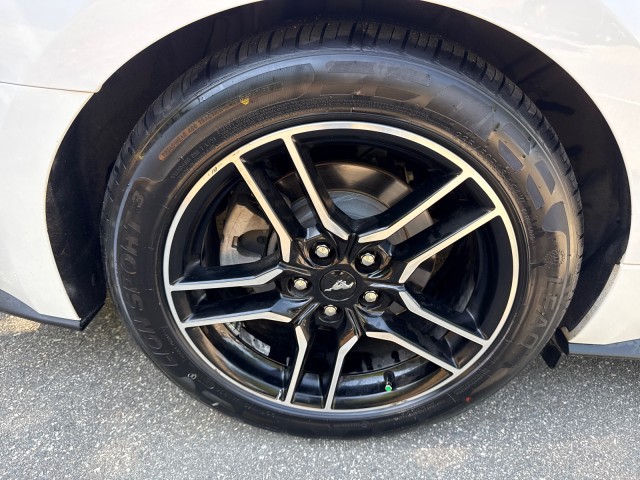 FordMustang9
