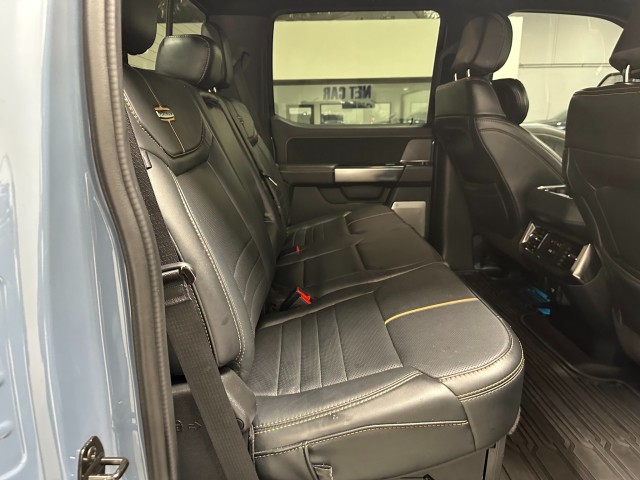 2023 Ford Super Duty F-250 SRW Platinum in , 
