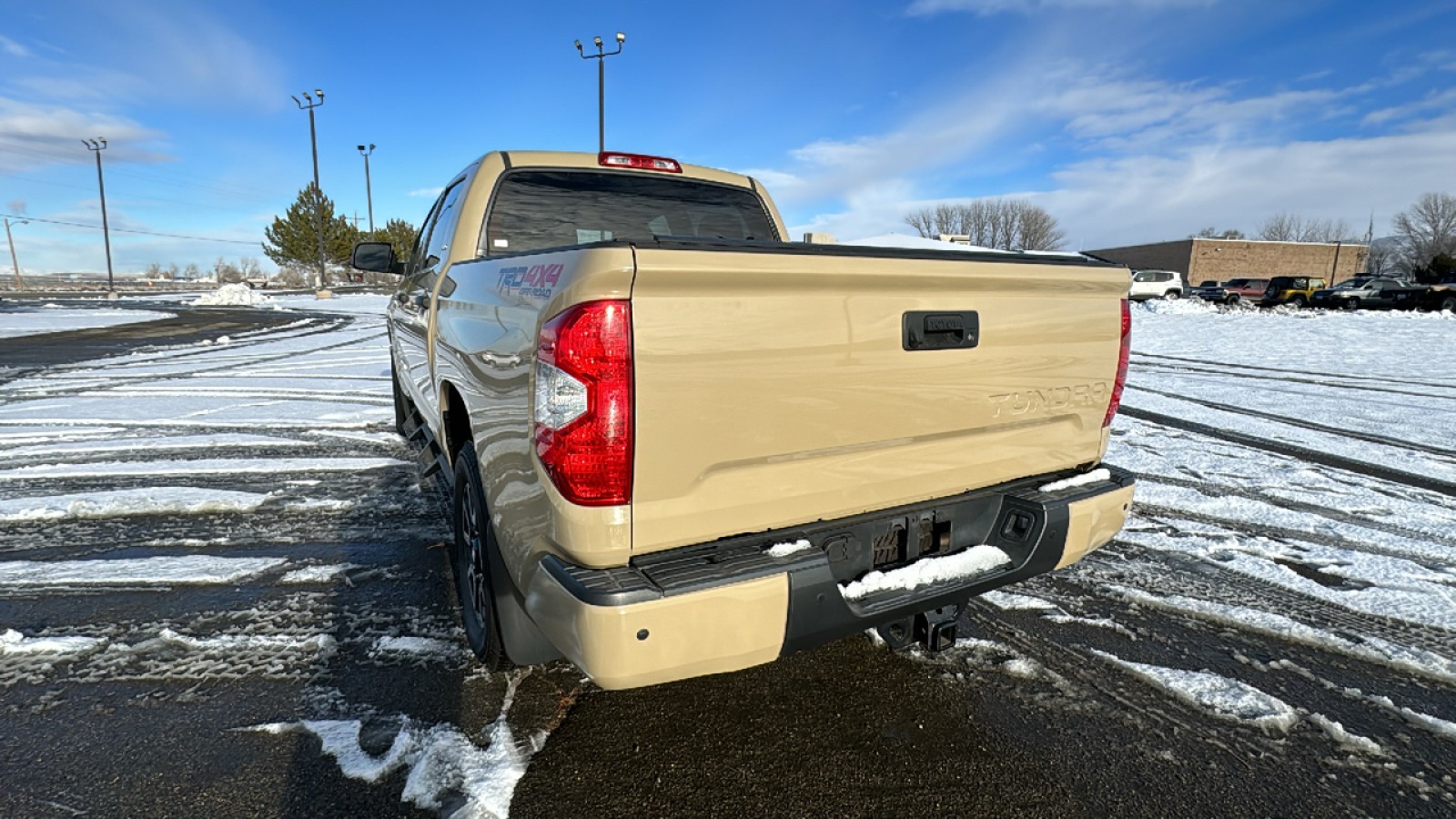 2019 Toyota Tundra 4WD TRD Pro 6