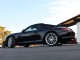2013  911 Carrera in , 