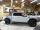 2017 Ford F-150 Raptor 4WD in Springfield, New Jersey