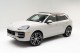 2025  Cayenne  in , 