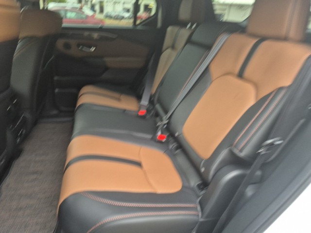 HondaPassport40