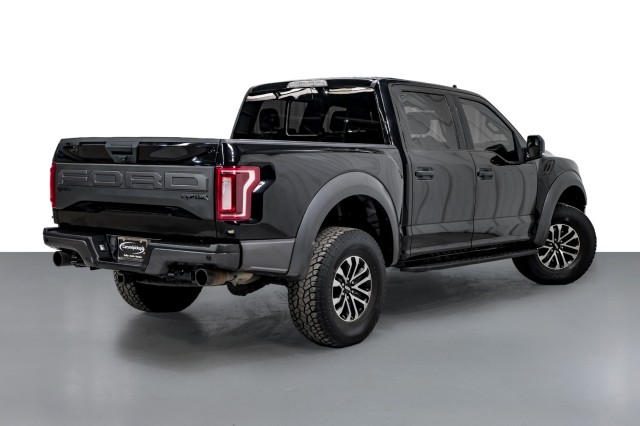 2019 Ford F-150 Raptor 6