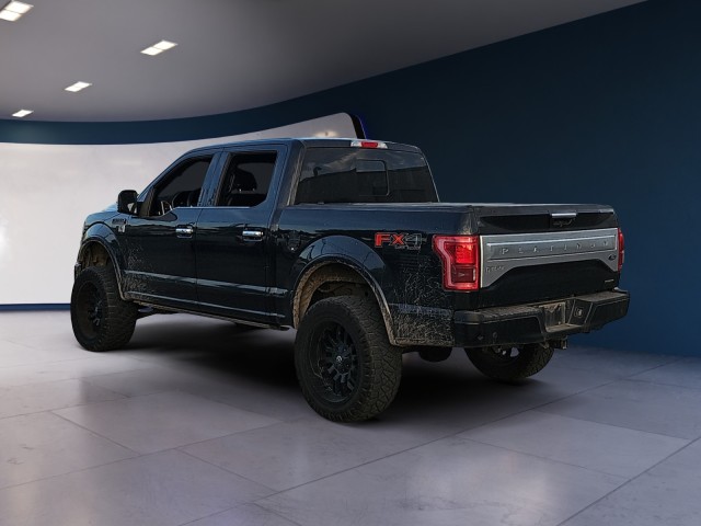 2015 Ford F-150 Platinum 3