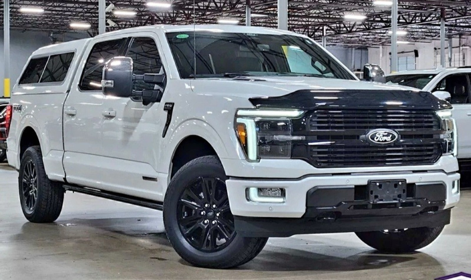 Used Car 2024 Ford F-150  Platinum For Sale In Austin, Texas