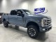 2023 Ford Super Duty F-250 SRW Platinum in , 
