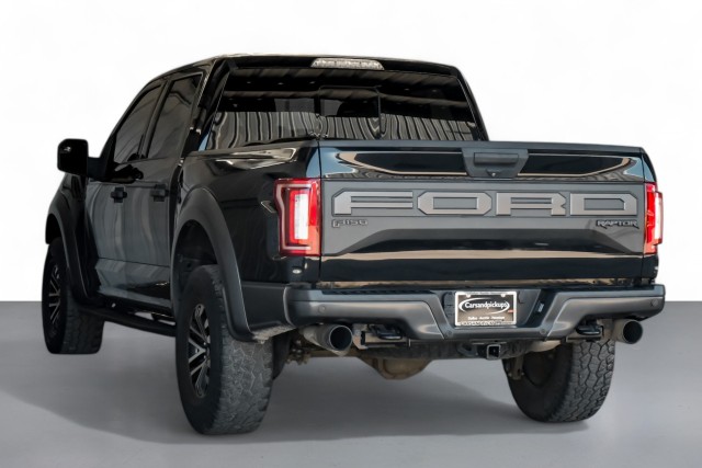 2019 Ford F-150 Raptor 10