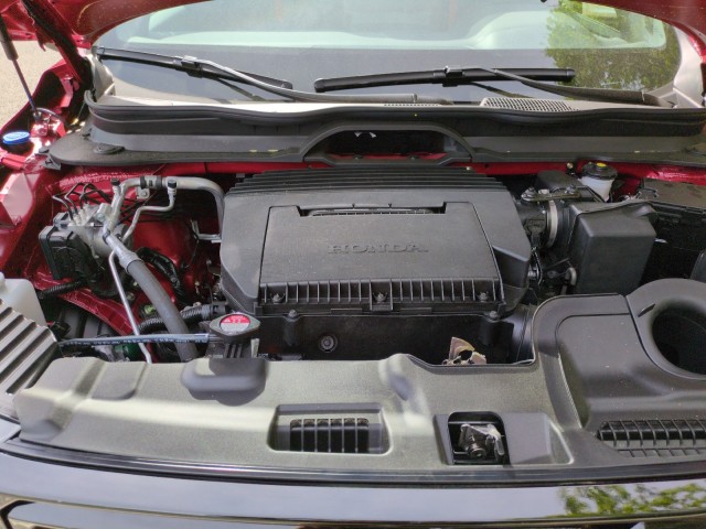 HondaPassport50
