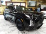 2024 Hyundai Palisade Calligraphy Night Edition AWD in Springfield, New Jersey