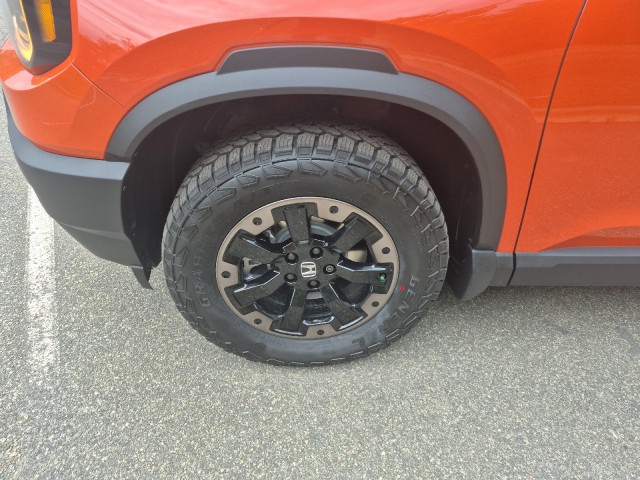 HondaPassport20