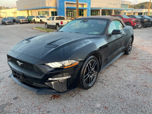 used 2021 Ford Mustang car, priced at $21,995