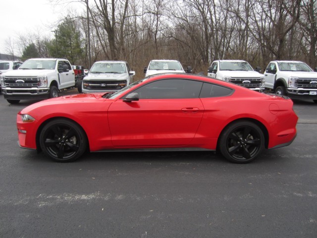 used 2023 Ford Mustang car, priced at $26,998