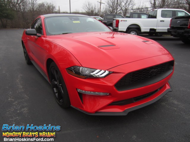 used 2023 Ford Mustang car, priced at $25,968