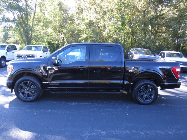 used 2023 Ford F-150 car, priced at $54,895