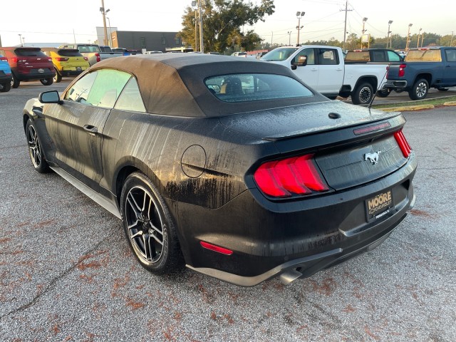 used 2021 Ford Mustang car, priced at $21,995