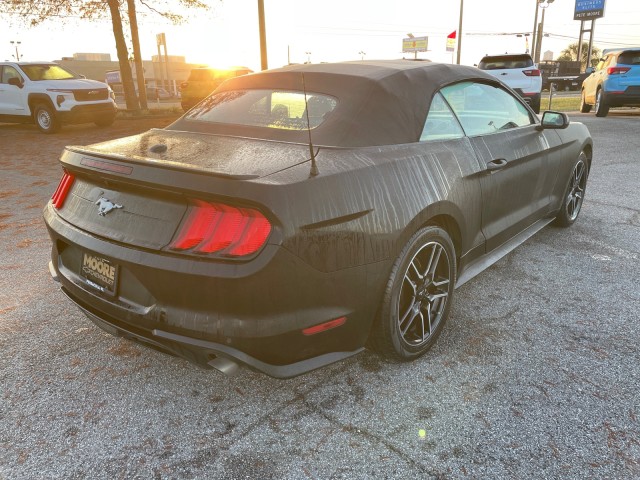 used 2021 Ford Mustang car, priced at $21,995