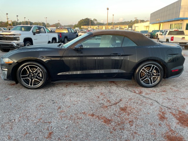 used 2021 Ford Mustang car, priced at $21,995