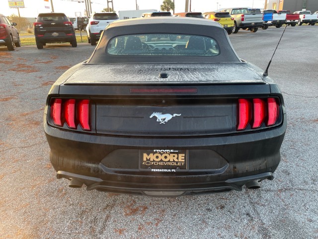 used 2021 Ford Mustang car, priced at $21,995